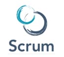 Scrum Dumps Exams